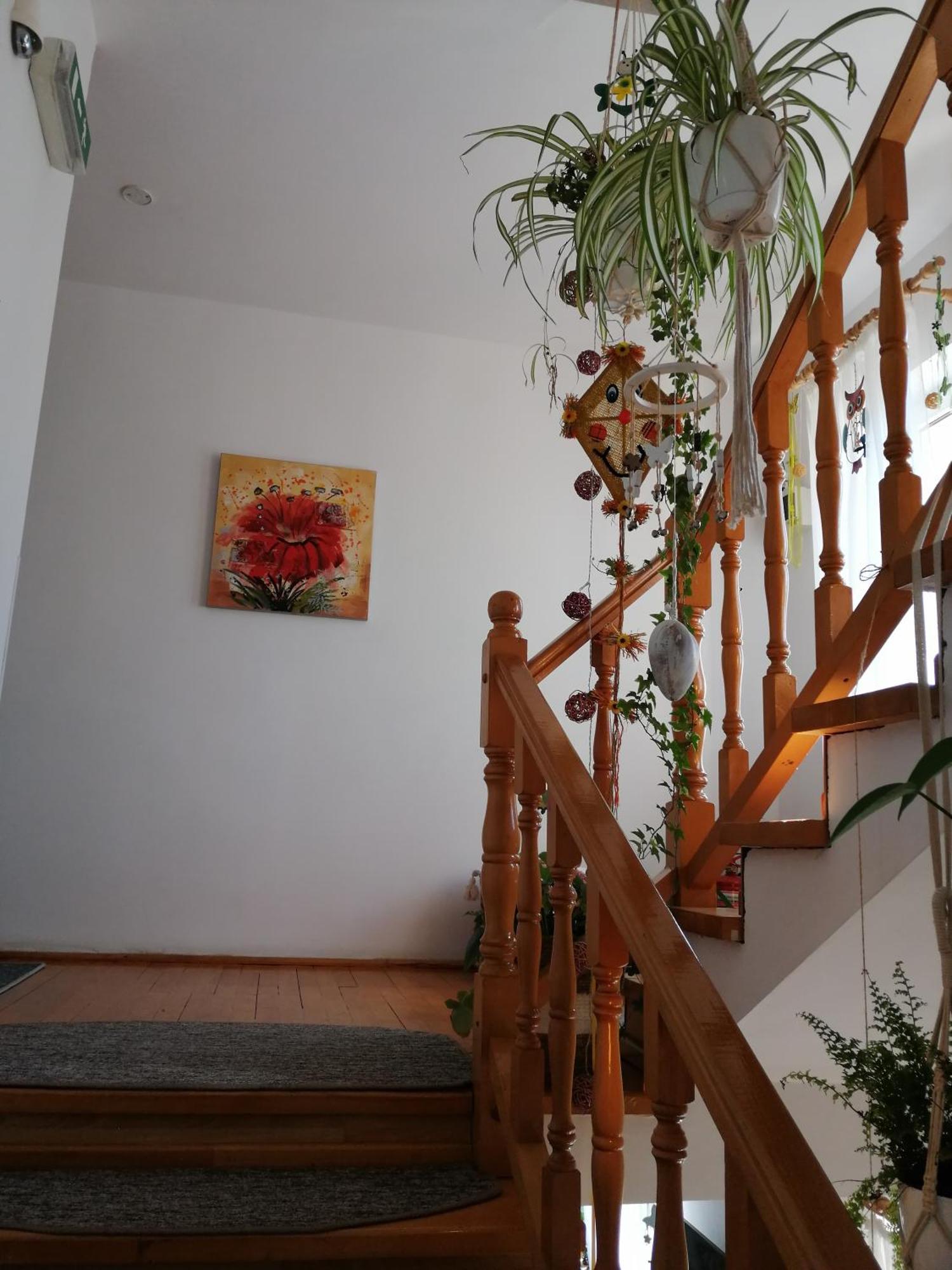 Pensiunea Transilvania Lodge Bran  Dış mekan fotoğraf