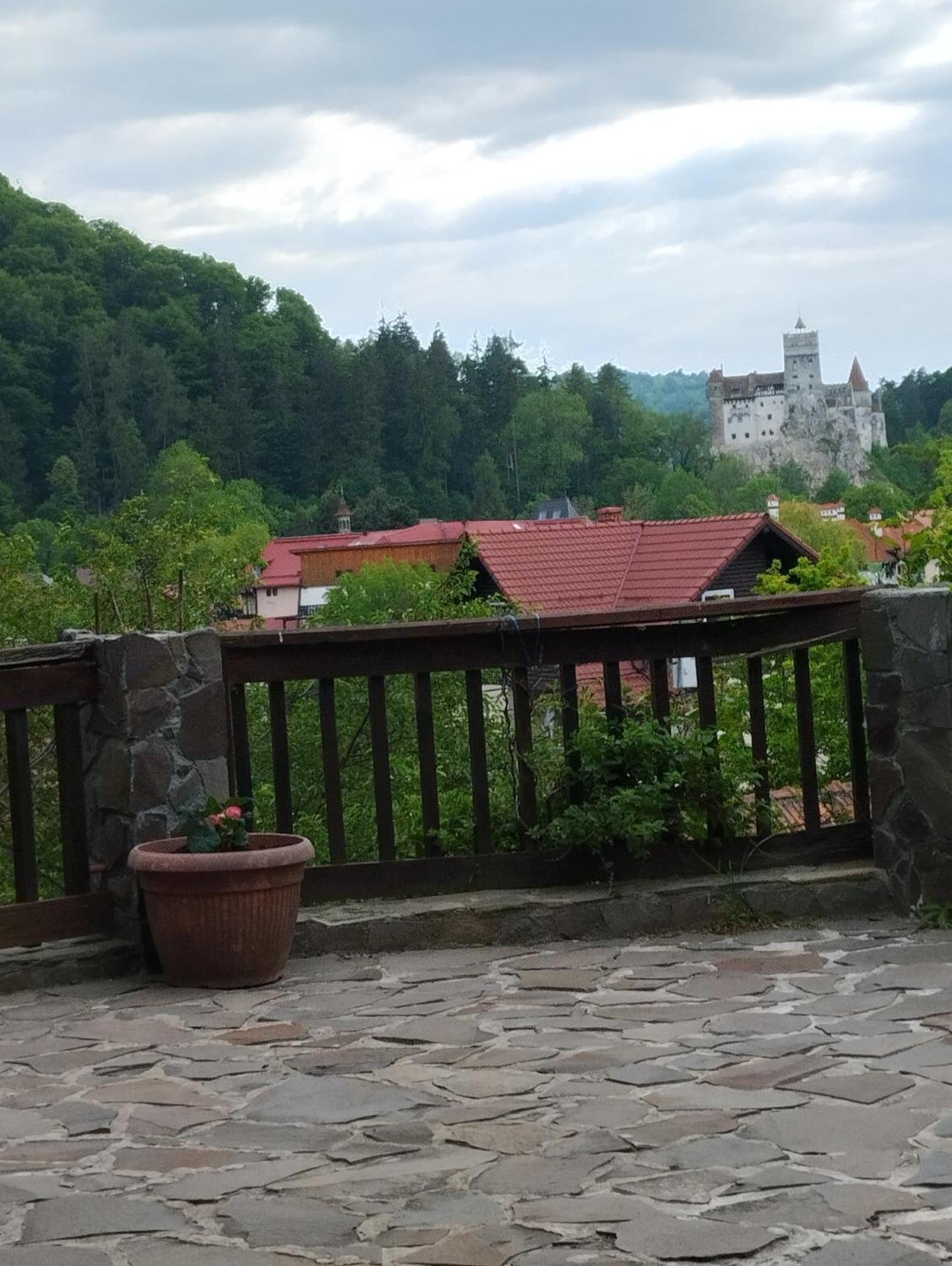 Pensiunea Transilvania Lodge Bran  Dış mekan fotoğraf